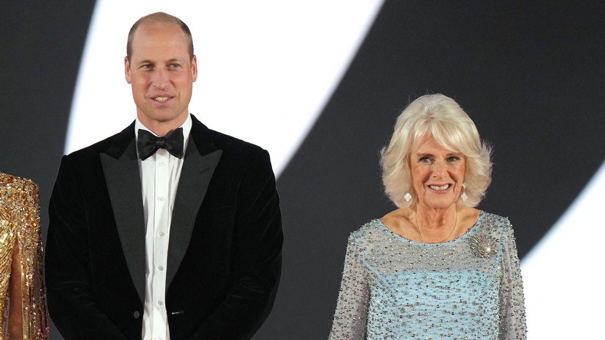 Photo of Prince William and Queen Camilla