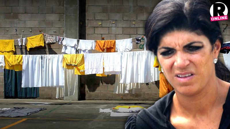 Teresa Giudice Laundry Job