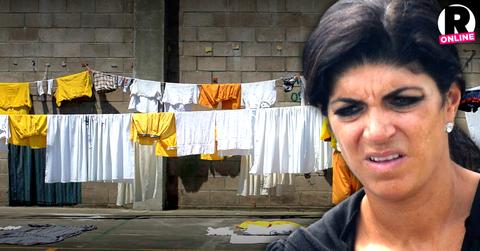 Teresa Giudice Laundry Job