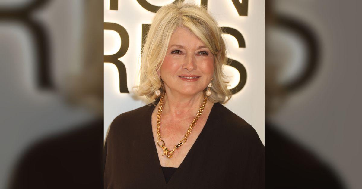martha stewart solitary confinement rebuilt billion dollar empire