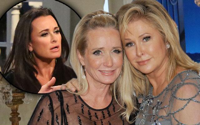 //kyle richards skips monty brinson kathy hilton feud