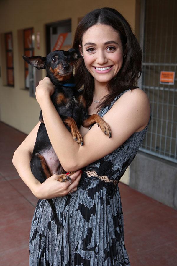 emmy rossum pets windows best friends animal society