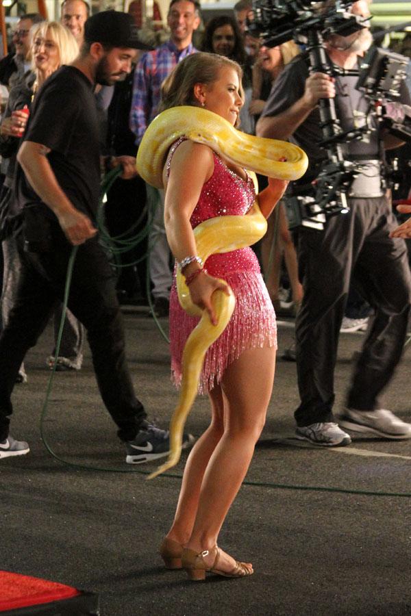 Bindi Irwin Dancing With The Stars Snake