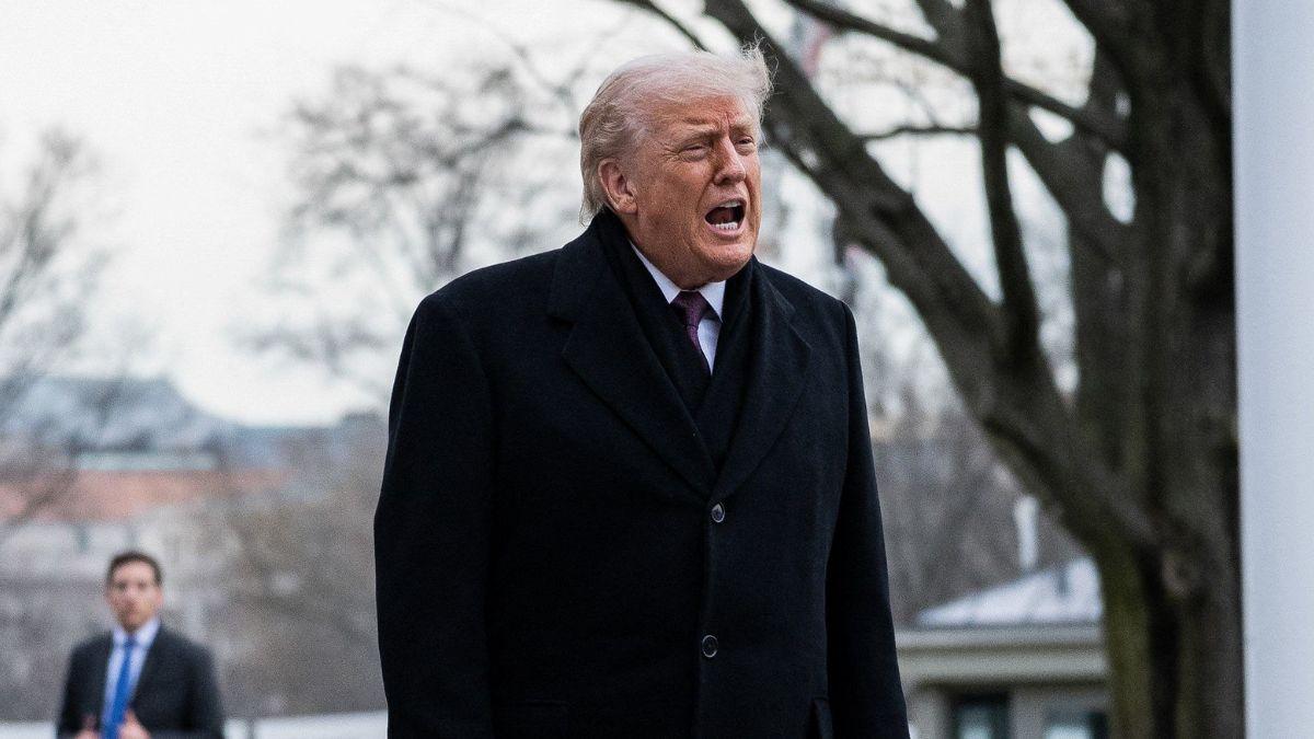 image of The White House declined to answer additional questions about Harp's relationship with Trump.