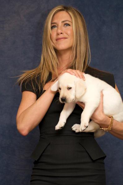 //jennifer aniston justin theroux wedding dogs