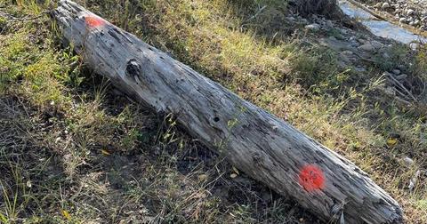 Gabby Petito Crime Scene Photos Resurface After Bombshell Documentary