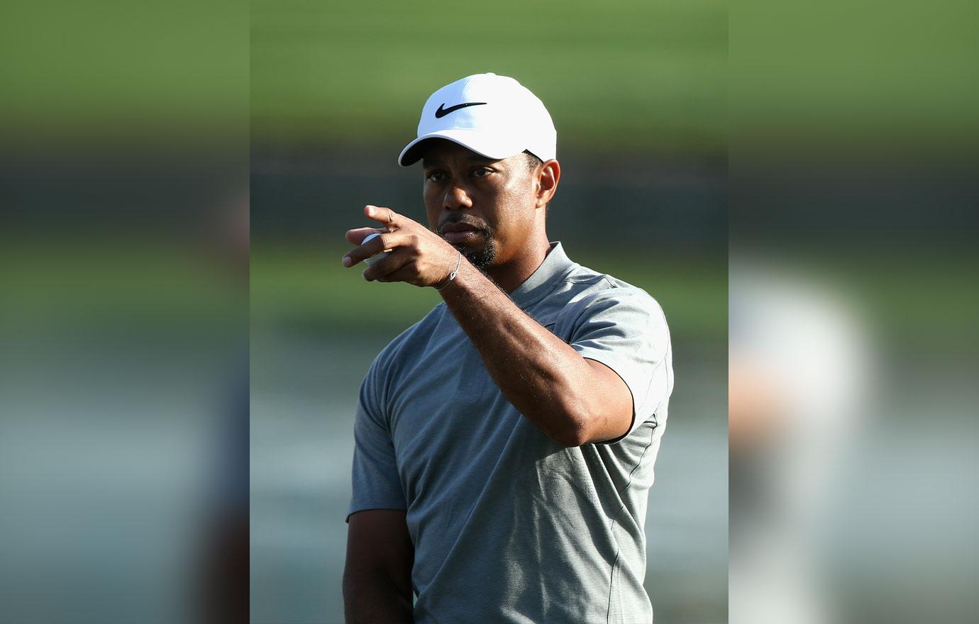 Tiger Woods DUI Downward Spiral Pics