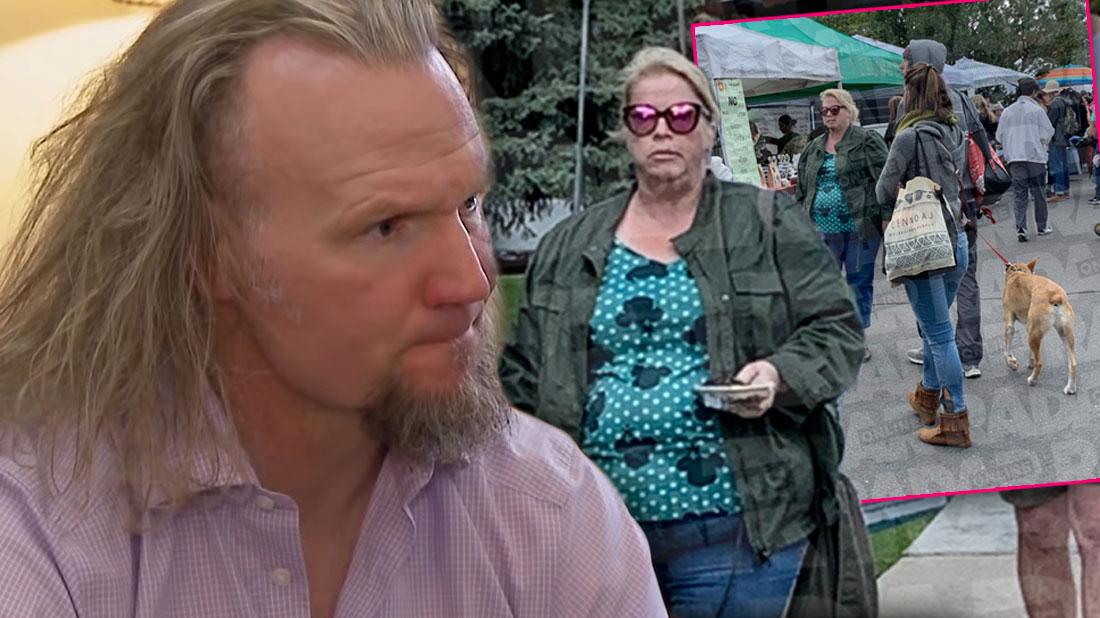 Sister Wives: Christine Spends Time With Hunter Brown Without Janelle!