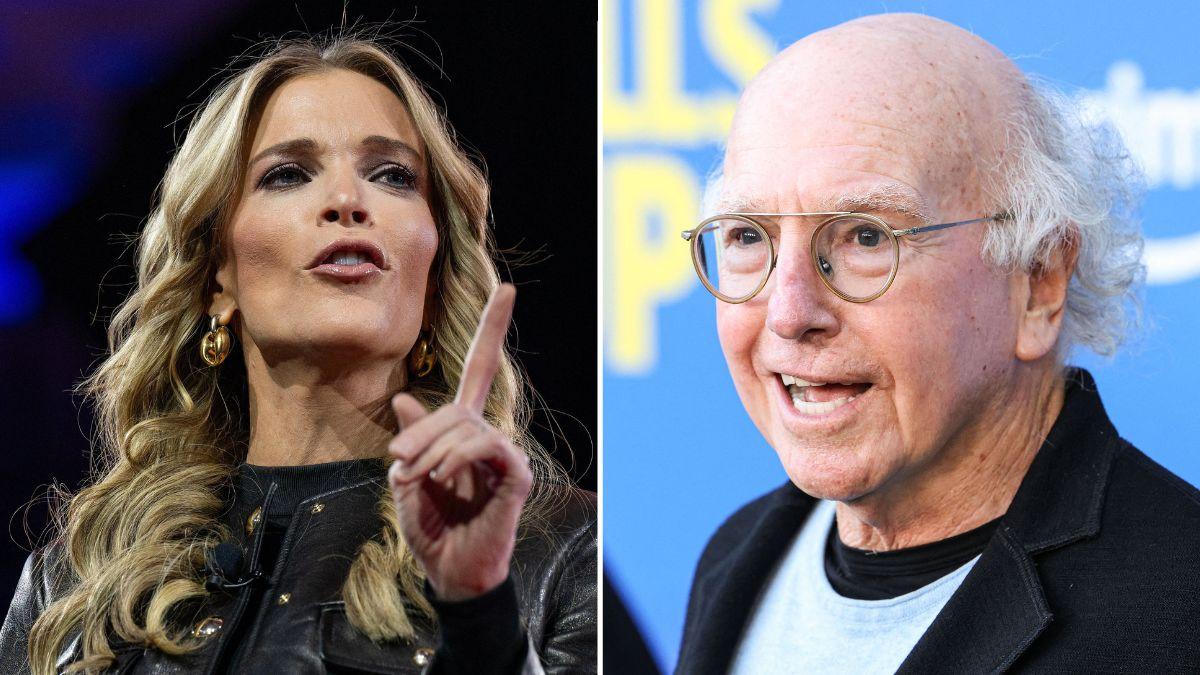 picture of Megyn Kelly and Larry David
