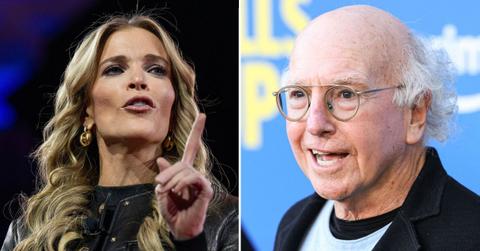 picture of Megyn Kelly and Larry David