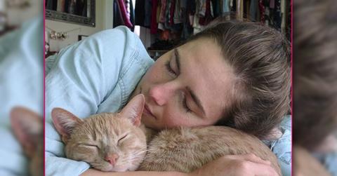 Amanda Knox Suffers Horrific Christmas Cat Death Tragedy