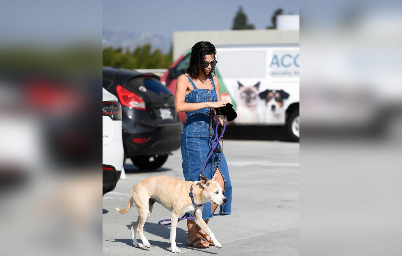 Jenna Dewan Takes Dog To The Vet