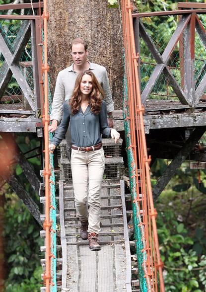 //prince william kate middleton canopy walkway sabah borneo