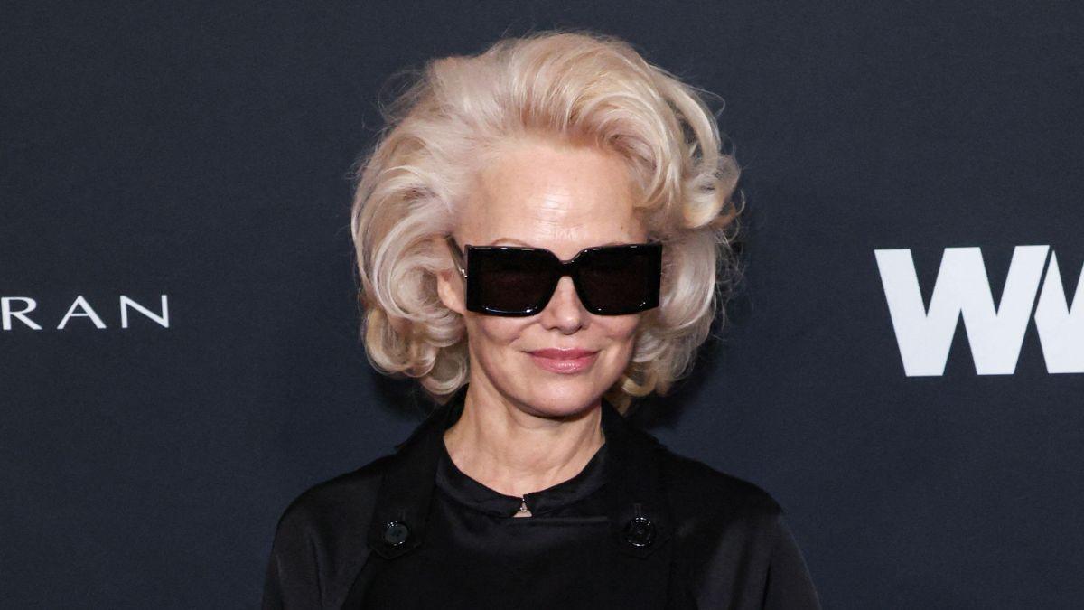 picture of Pamela Anderson