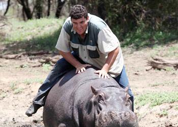//hippo kills owner landov