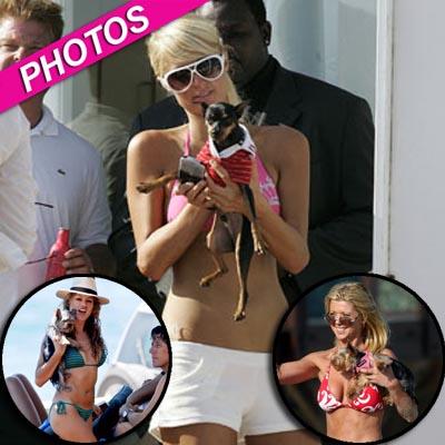 PHOTOS: Indecent Exposure! Stars Bring A Little Too Much Sexy To The Beach