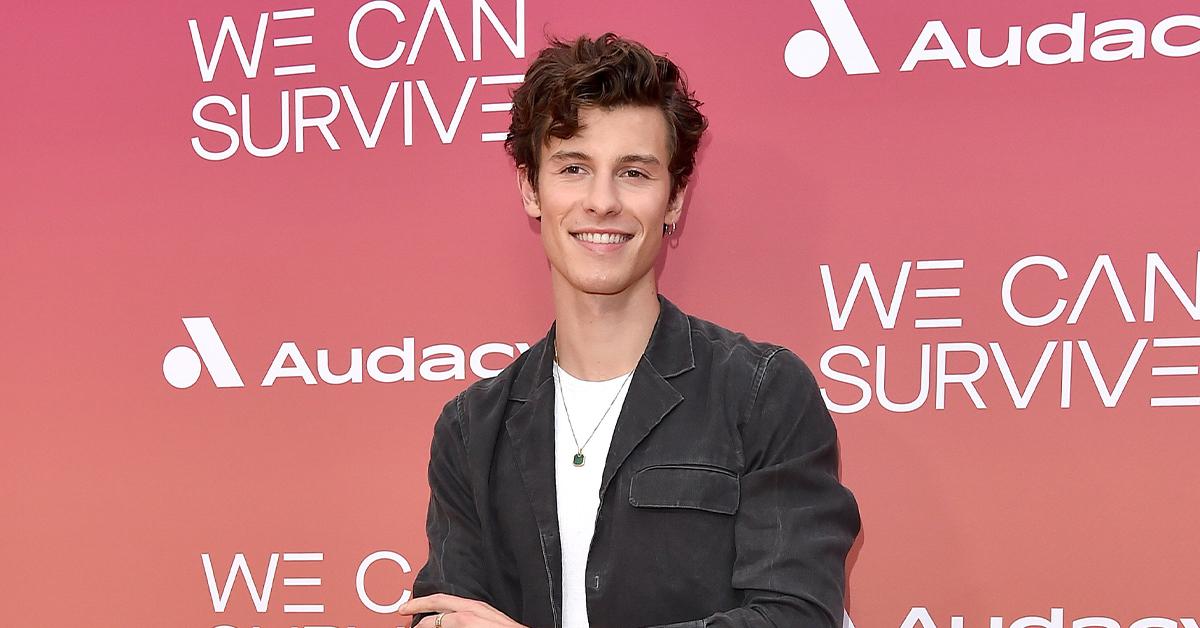 Shawn Mendes Does Comfy Travel Style in Blue Hoodie & Low-Top