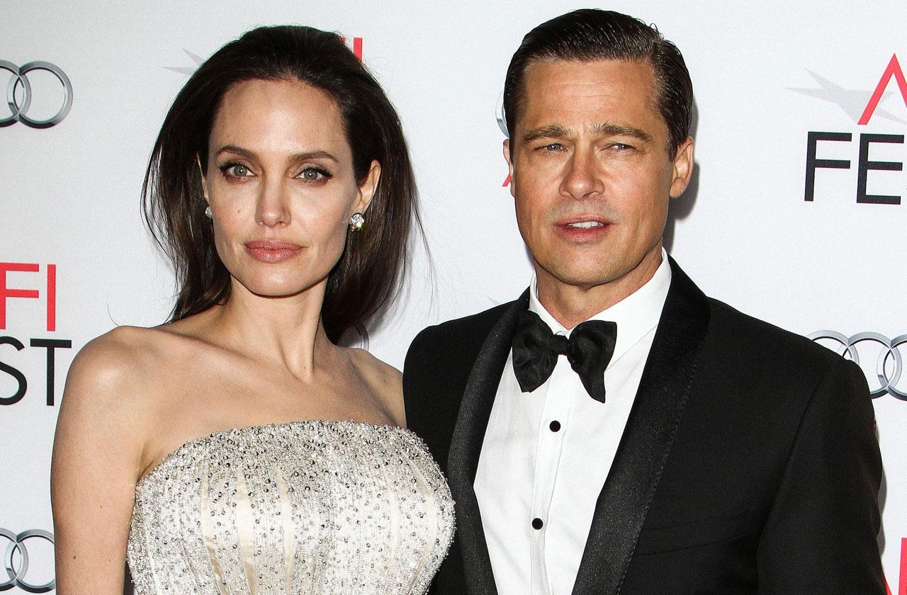 Angelina Jolie Brad Pitt Continue Wine Business