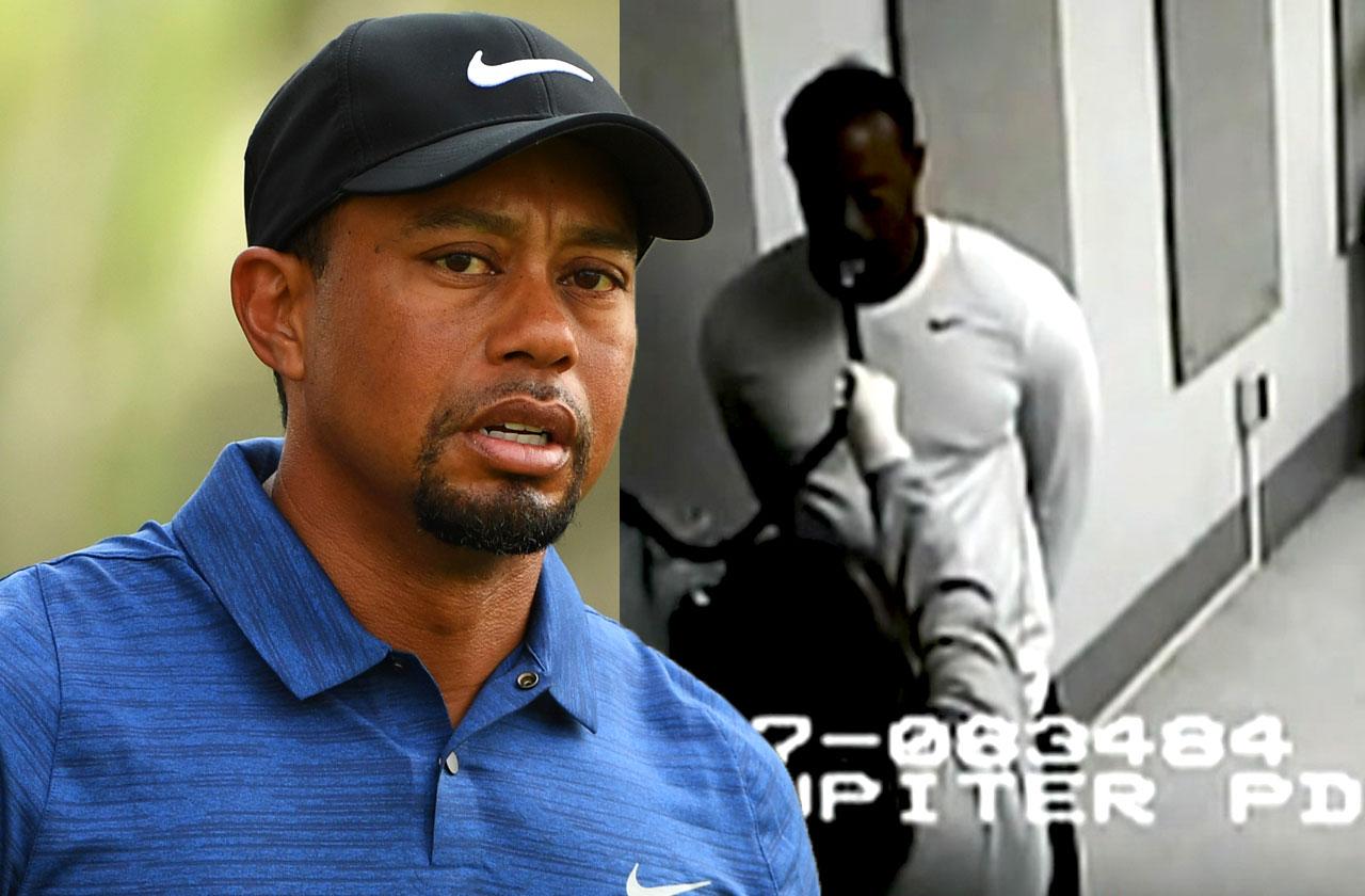 Tiger Woods DUI Arrest Breathalyzer Test Video