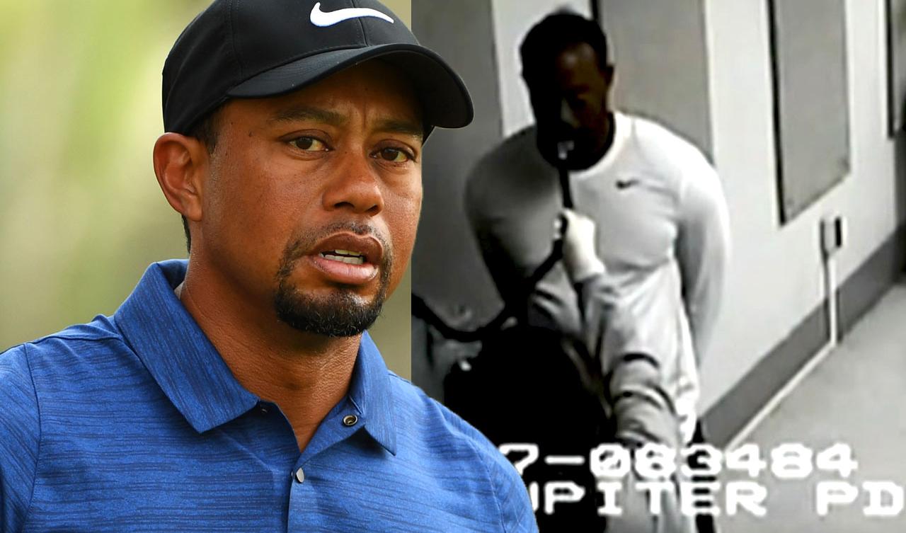 Tiger Woods Dui Arrest Breathalyzer Video Released