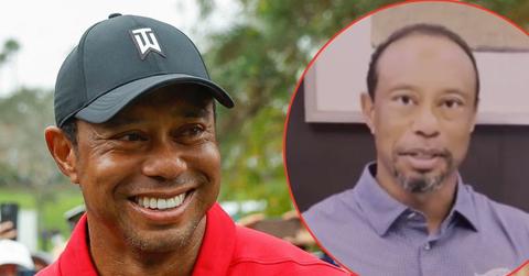 picture of tiger woods