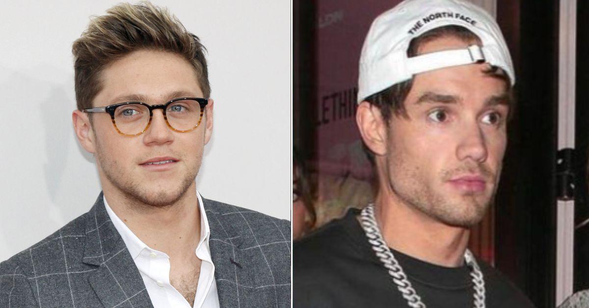 Composite photo of Niall Horan and Liam Payne