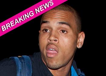 //chris brown positive marijuana wenn