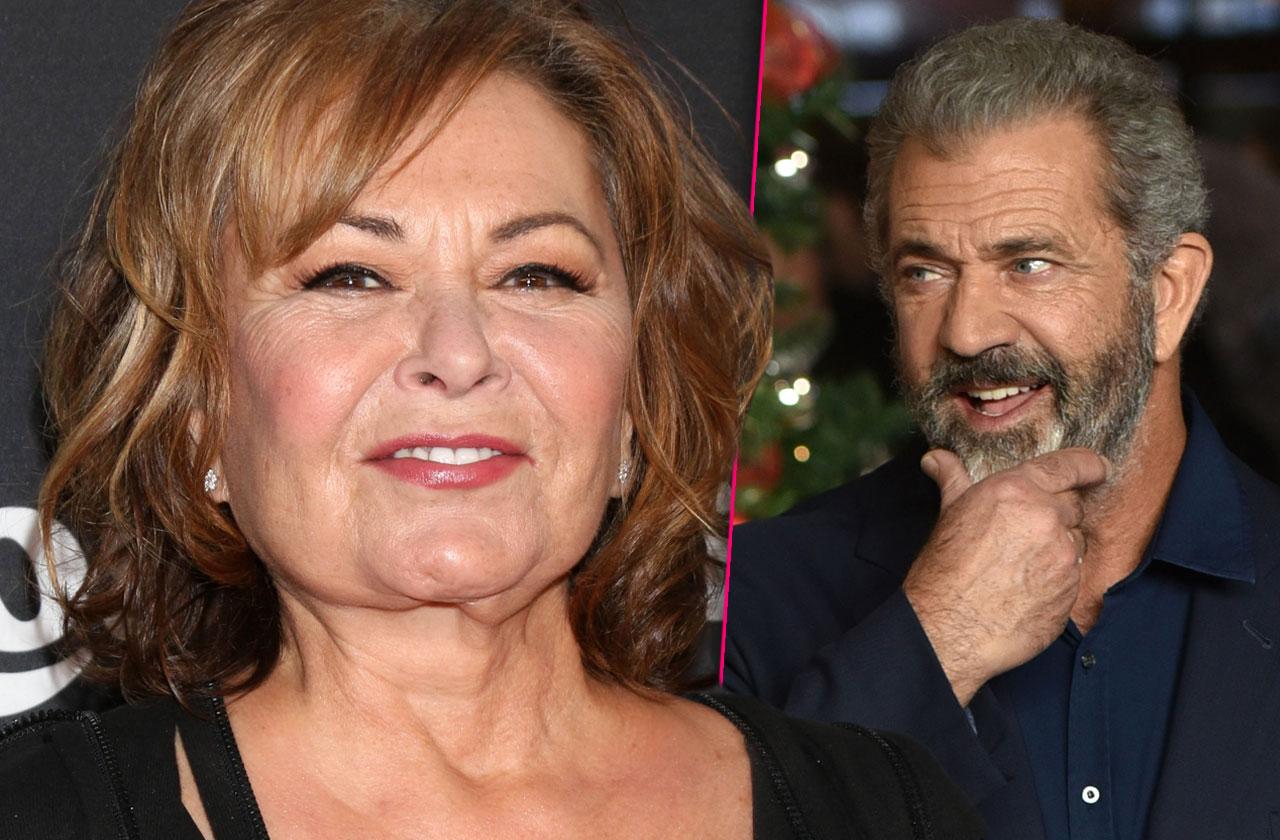 ABC Execs Planning Mel Gibson-Like Comeback For Roseanne
