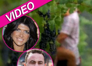 //teresa giudice joe bravo ffn