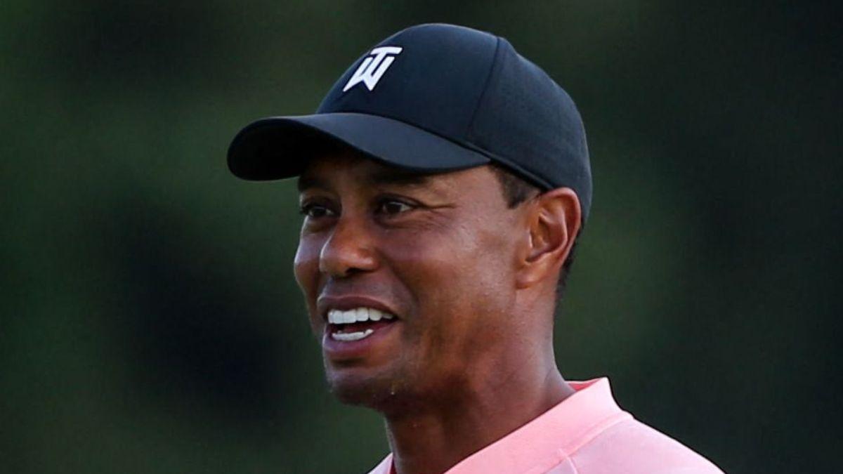 picture of Tiger Woods