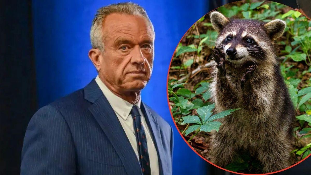 Robert F Kennedy Jr and raccoon