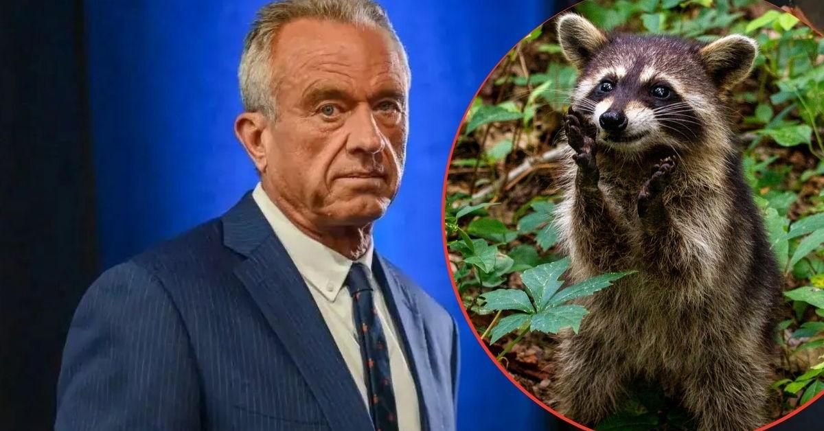 RFK Jr. Chopped Privates Off Roadkill, Kept 'Dead Animals' in Freezer