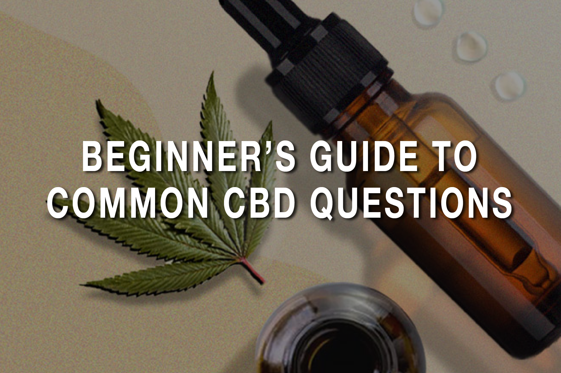 Beginner’s Guide to Common CBD Questions