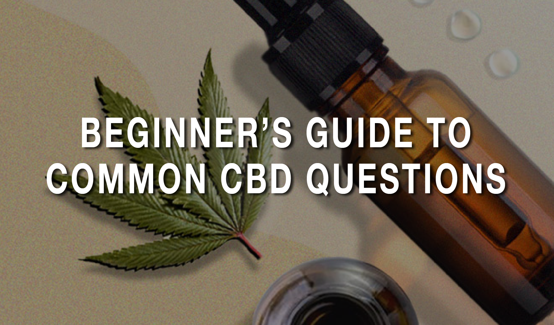 Nowadays, Most People Have Heard About CBD Or Seen It On Store Shelves ...