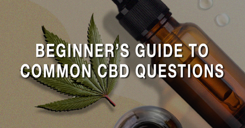 Beginner’s Guide to Common CBD Questions
