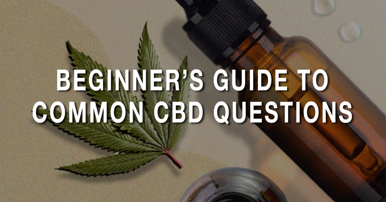 Nowadays, Most People Have Heard About CBD Or Seen It On Store Shelves ...