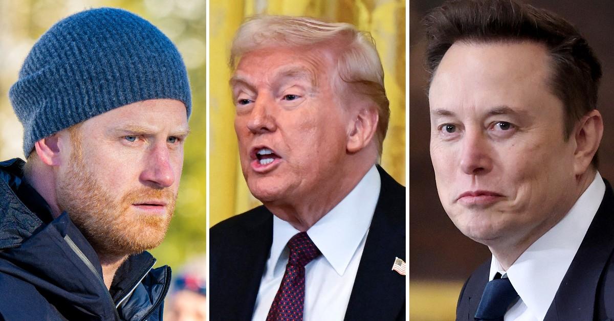 Composite photo of Prince Harry, Donald Trump, Elon Musk