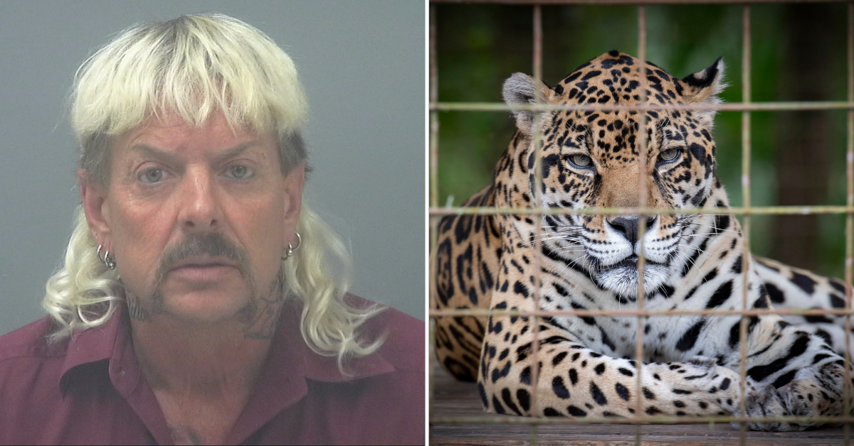 'Tiger King' Star Joe Exotic Resentenced To 21 Years In Prison