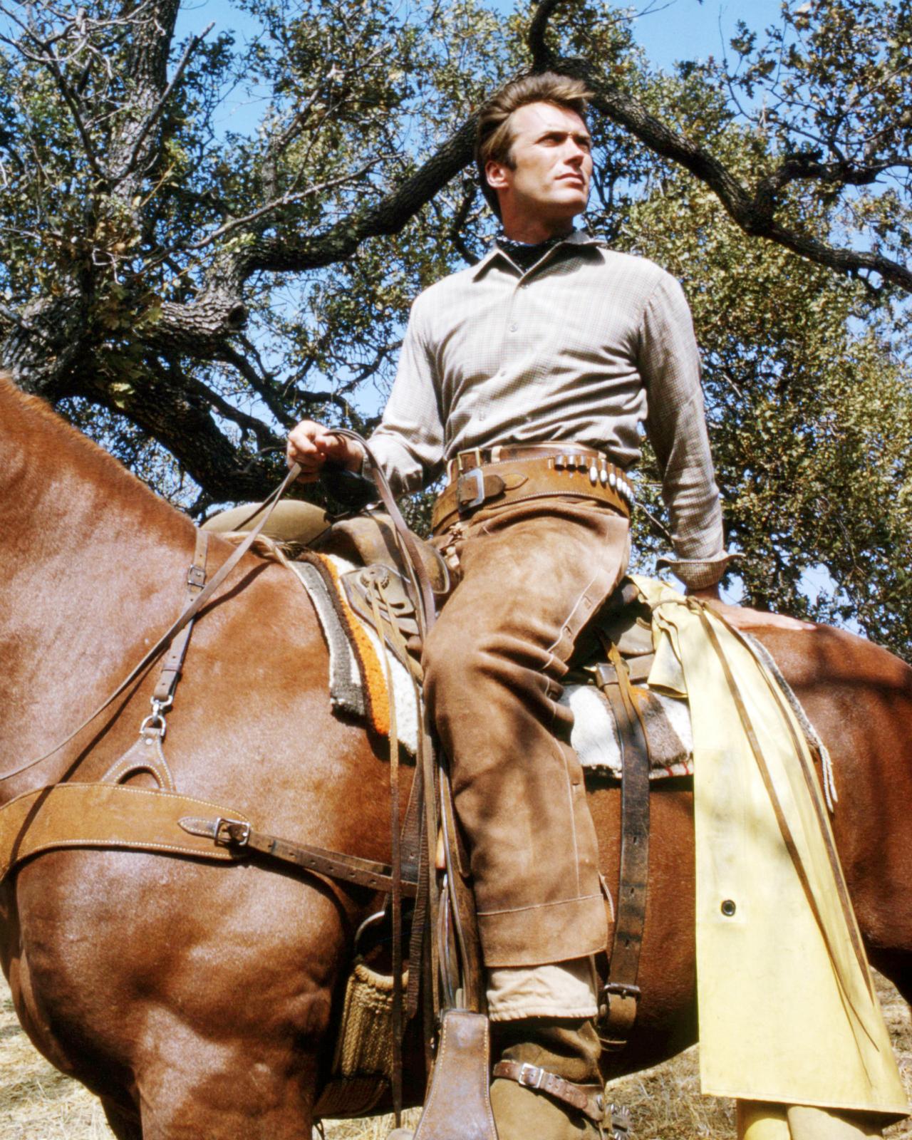 clint eastwood tv actor to oscar winner