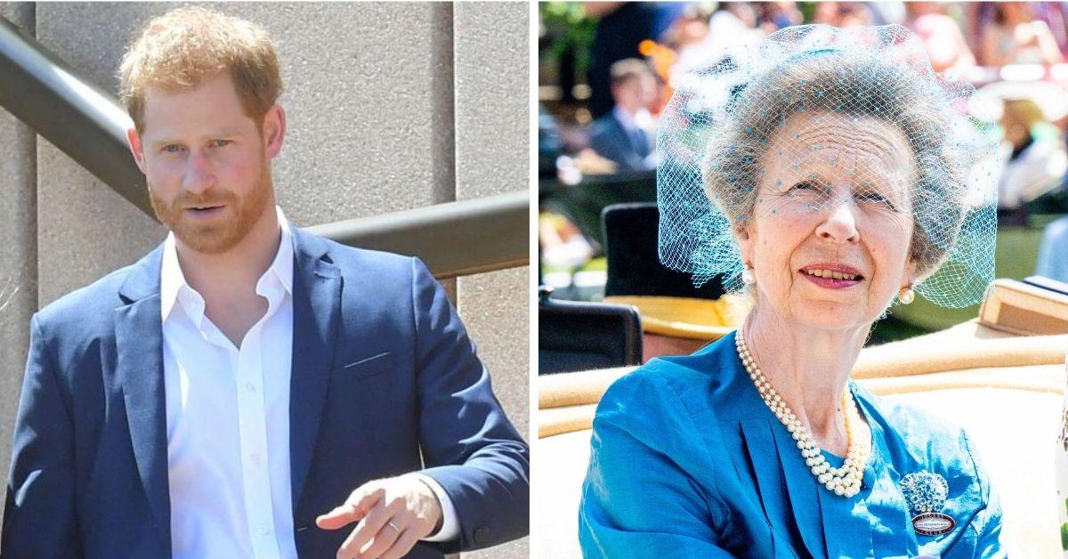 Photo of Princess Anne and Prince Harry