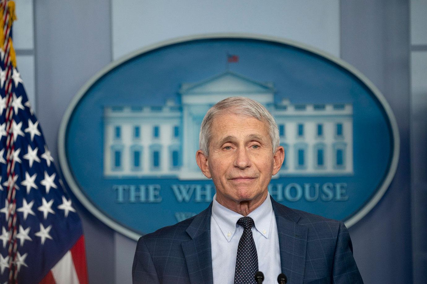 dr fauci testify defend joe biden administration covid  omicron response