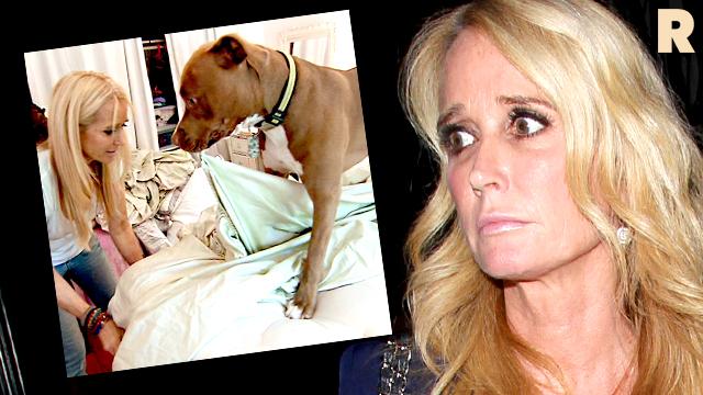 Kim Richards Dog Kill