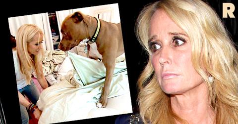 Kim Richards Dog Kill