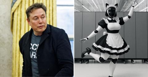Split photo of Elon Musk, Robot