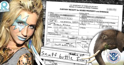 //kesha detained us homeland security smuggling ivory snuff bottle wide