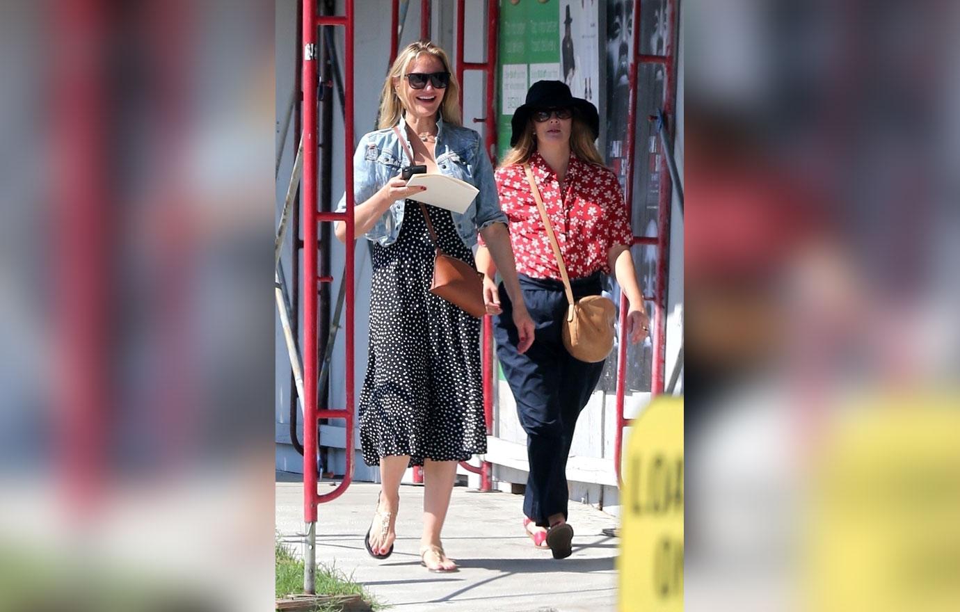 Cameron Diaz and Drew Barrymore Get Together