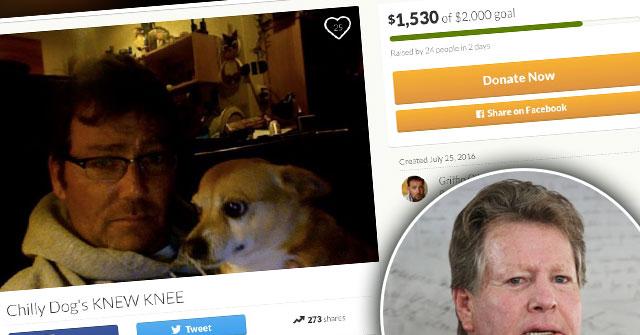 ryan oneal son griffith asking public fund dog surgery