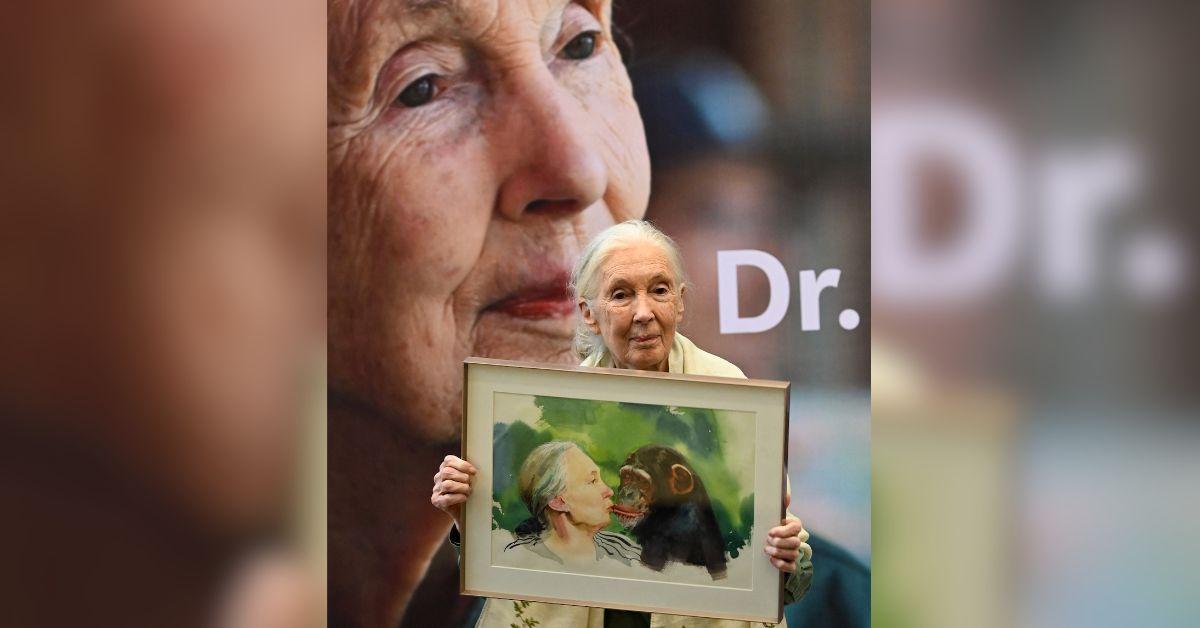 Photo Jane Goodall
