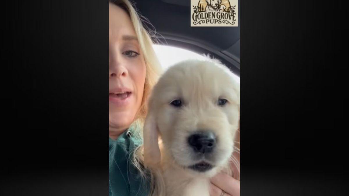 Anna Duggar is breeding Golden Retrievers in Arkansas.