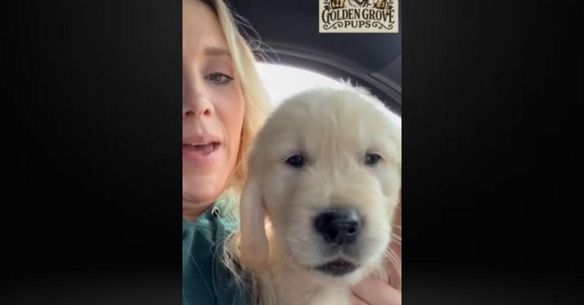 EXCLUSIVE: Anna Duggar Accused of Being 'Backyard Breeder'&hellip;